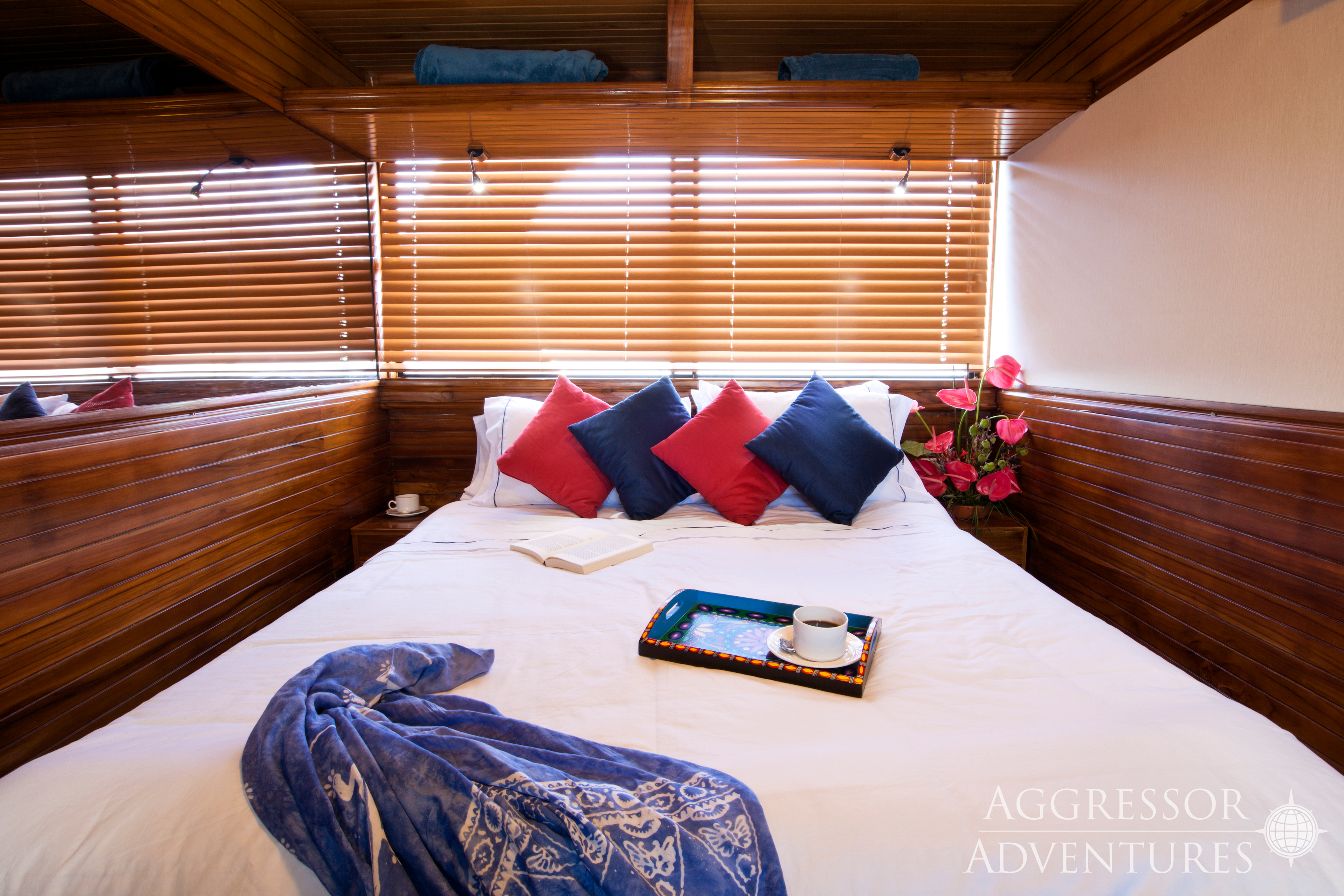 Luxury suite stateroom with queen bed and panoramic windows aboard Galapagos Aggressor III