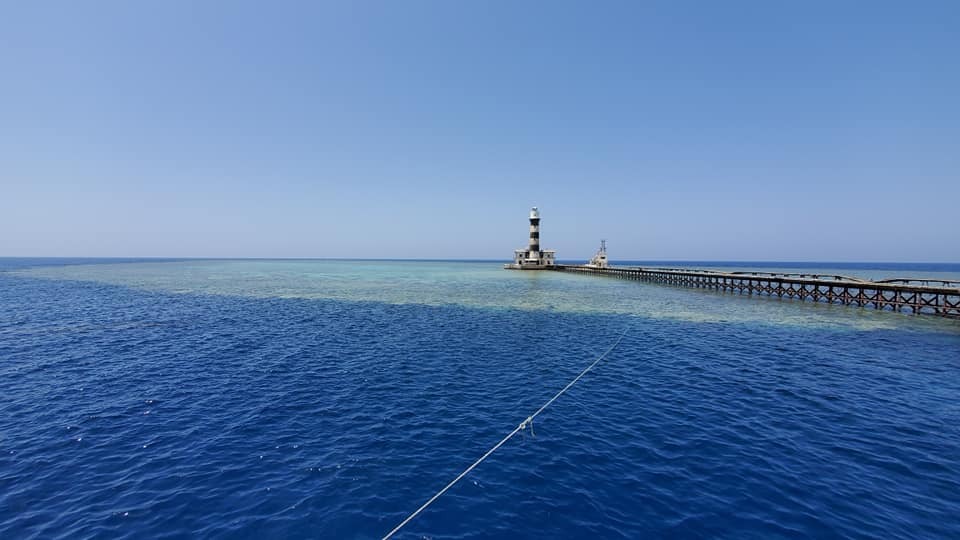 Daedalus Reef diving in the Red Sea cruising Egypt's Southern Red Sea Route