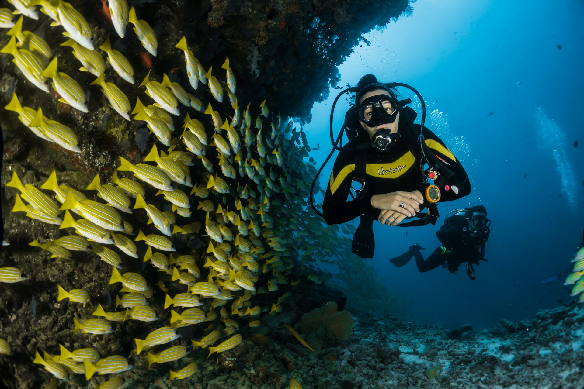 Scuba divers exploring vibrant coral reef in clear blue water